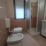 Apartman Grzic *