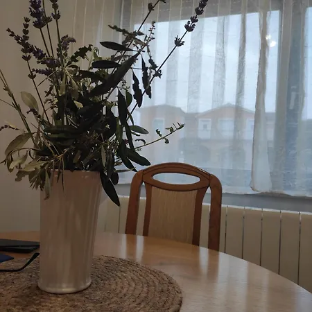 Διαμέρισμα Grzic